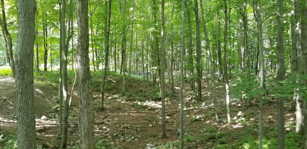 Parc du Marbre | Rue du Taillandier, Mirabel, QC J7N 3K4, Canada | Phone: (450) 475-8653