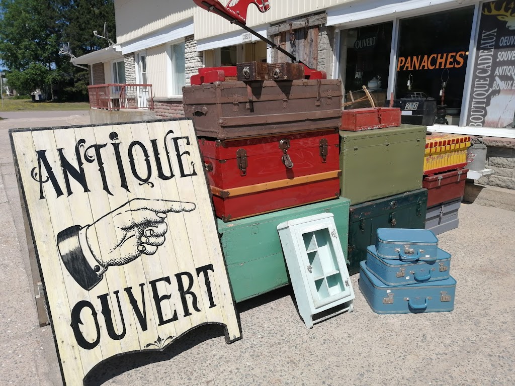 ARTS NATURE SHOP | 2392 Bd Wallberg, Dolbeau-Mistassini, QC G8L 1K7, Canada | Phone: (418) 276-9191