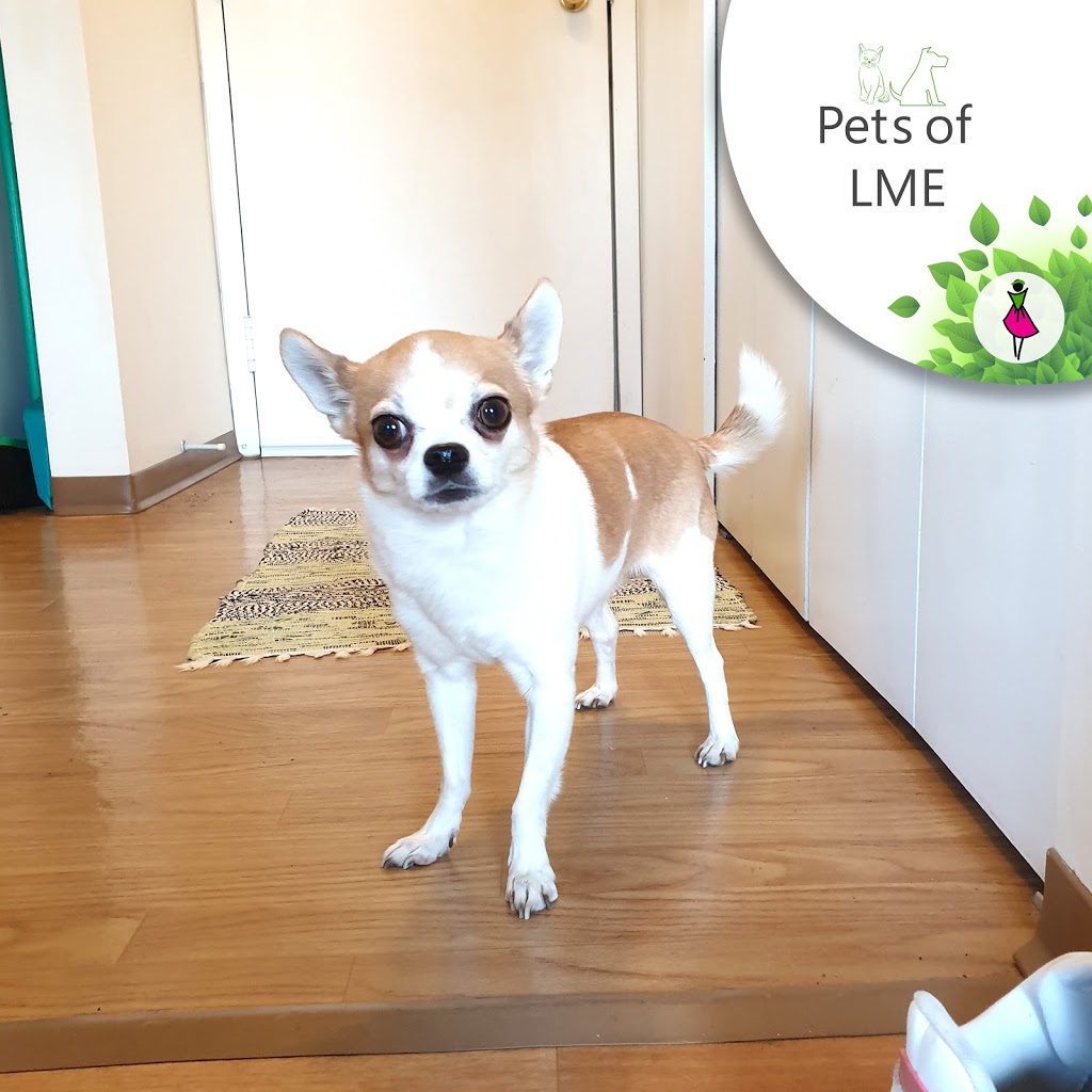 Life Maid Easy - North Surrey | 14296 Gladstone Dr, Surrey, BC V3R 5R7, Canada | Phone: (833) 247-6243