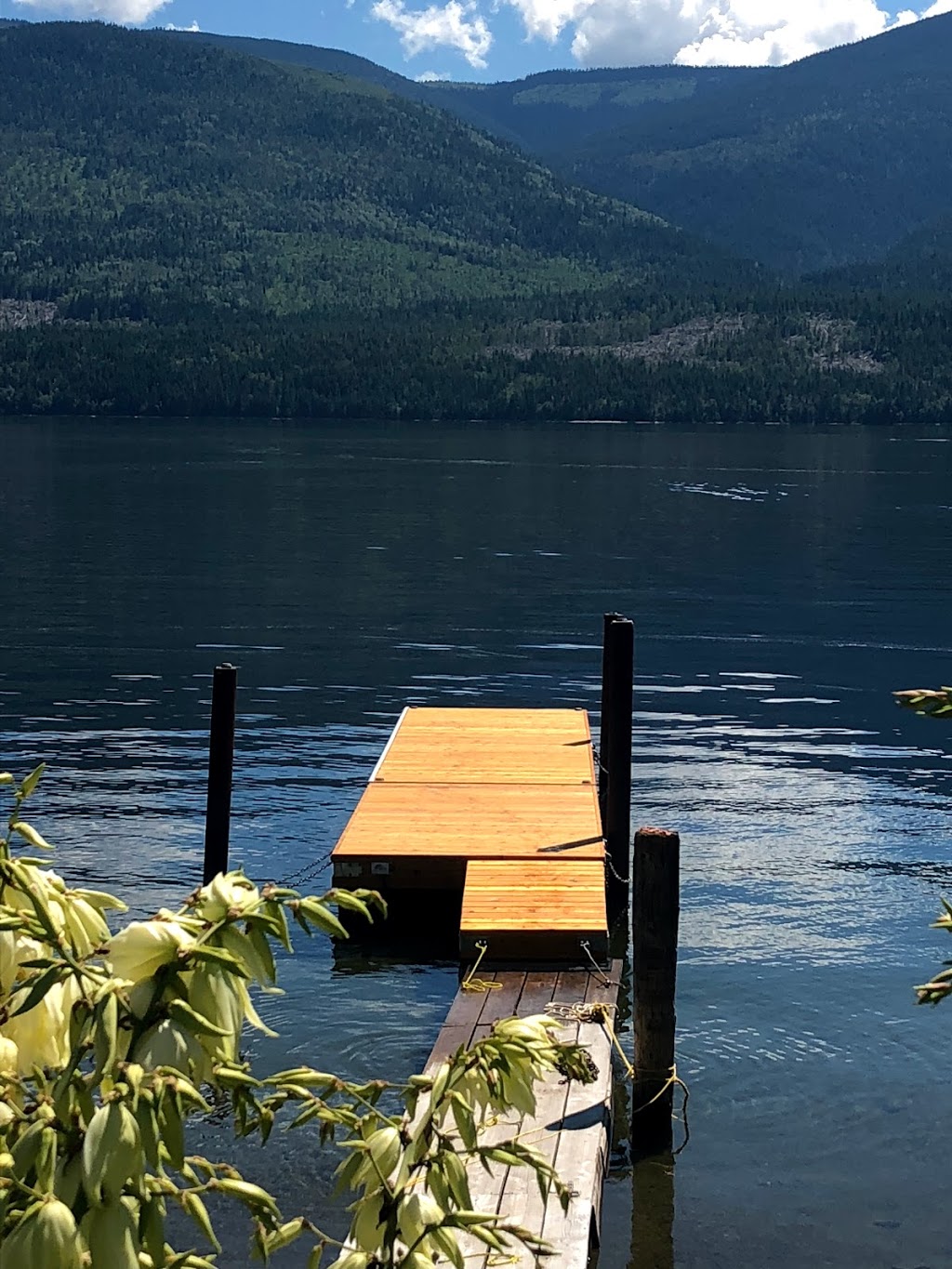 Sun N Fun Cedar Docks | 6765 Cools Rd, Vernon, BC V1B 3T2, Canada | Phone: (778) 475-3625