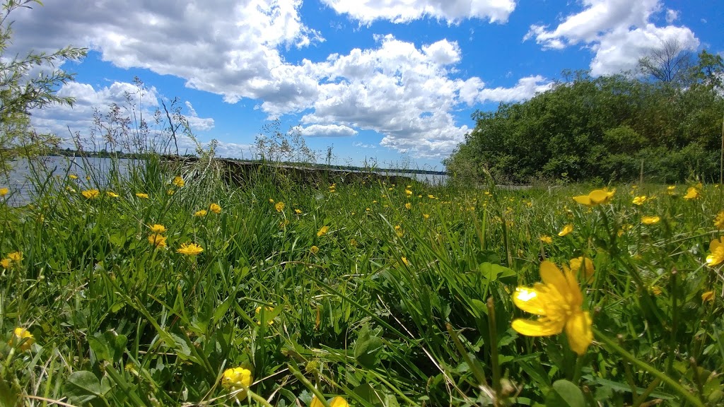 River Lea | Park Rd, Grand Island, NY 14072, USA