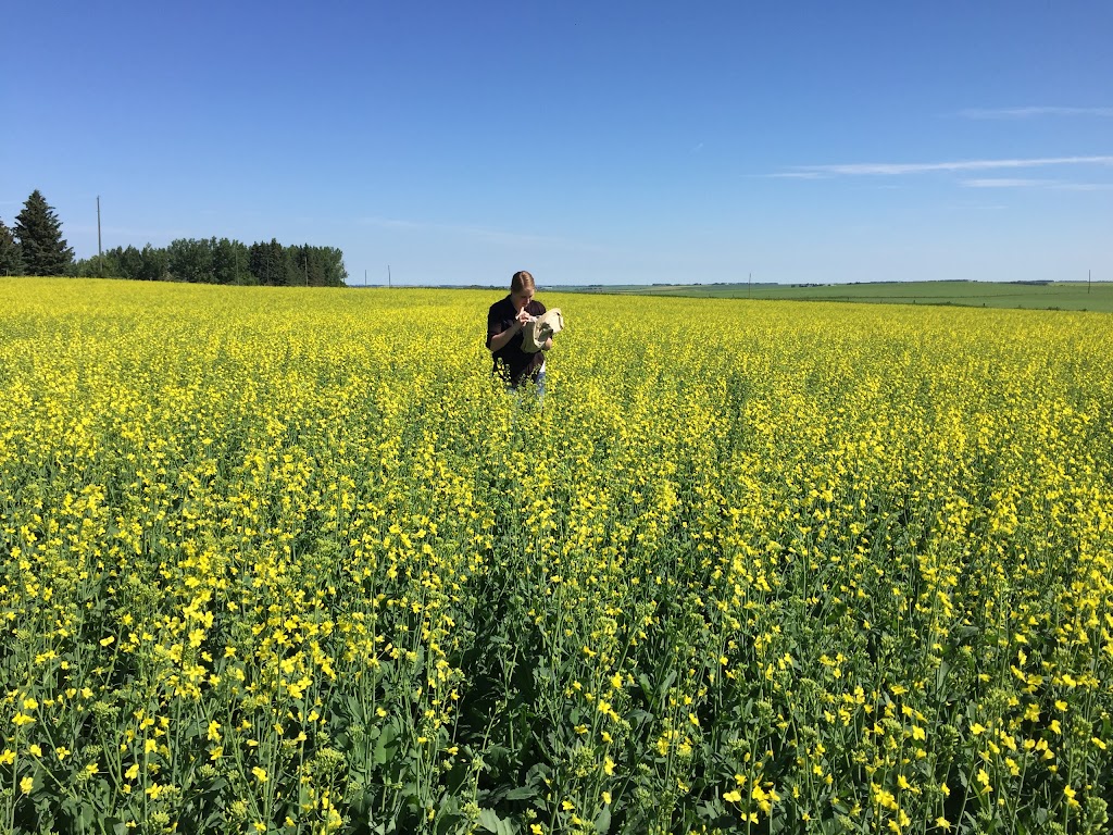 CORE Ag Inputs - Carstairs | 750 Highfield Dr, Carstairs, AB T0M 0N0, Canada | Phone: (403) 940-0472