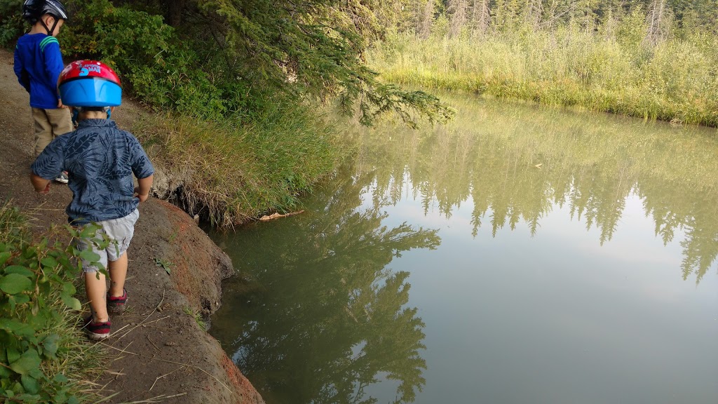 Bebo Grove, Fish Creek Park | 13610 24 St SW, Calgary, AB T2W, Canada | Phone: (403) 297-5293