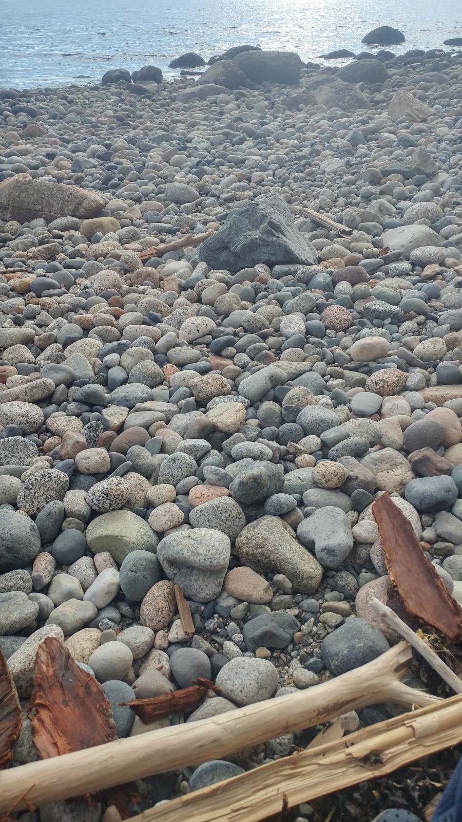 Sa Boothroyd Gallery | Gibsons, BC V0N 1V8, Canada | Phone: (604) 886-7072