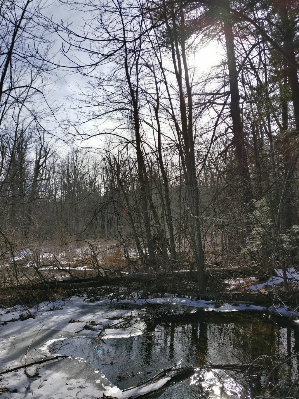 Robert Edmondson Conservation Area | 10027 1 Line, Milton, ON L0P, Canada | Phone: (905) 854-2276