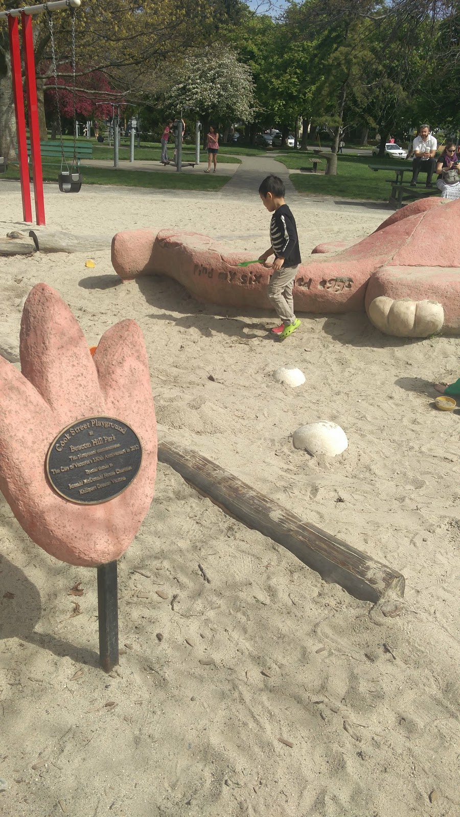 Cook Street Playground and Outdoor Fitness Circuit | 100 Cook St, Leonard St, Victoria, BC V8V, Canada | Phone: (250) 361-0600