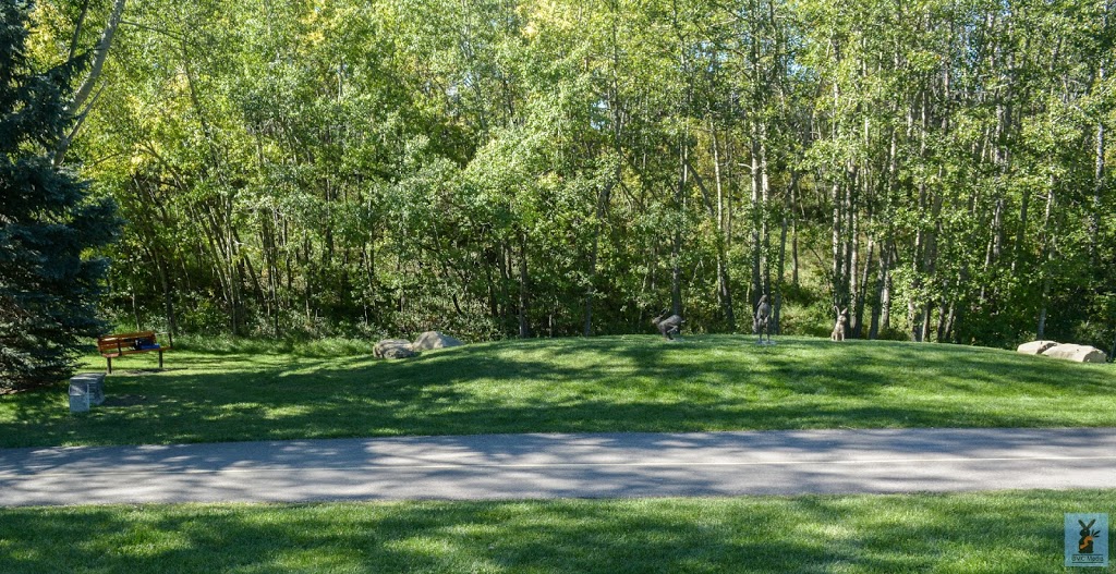 Edgemont Wetland | 9401 Edgebrook Blvd NW, Calgary, AB T3A 5T6, Canada