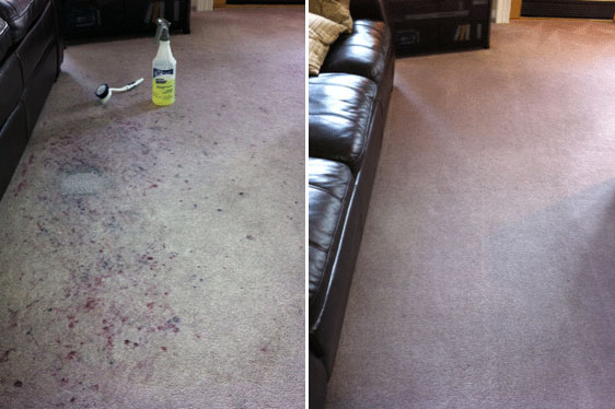 Royal Carpet Cleaning | 40 Regan Rd, Brampton, ON L7A 1B3, Canada | Phone: (905) 595-0912