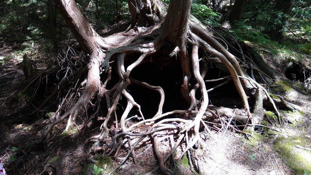 Millbrook Valley Trails | 1 Dufferin St, Millbrook, ON L0A 1G0, Canada | Phone: (705) 932-9329