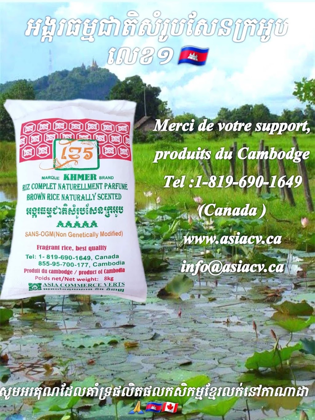 Asia Commerce Verts | 3032 Bd Louis Fréchette, Nicolet, QC J3T 1M9, Canada | Phone: (819) 690-1649