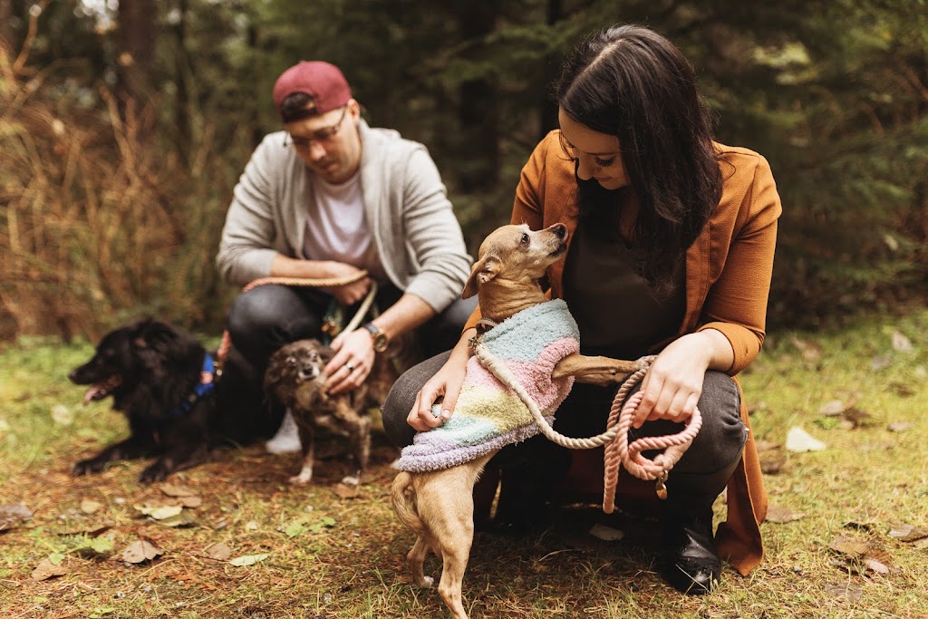 Precious Pawz By KOBBS | 23401 133a Ave, Maple Ridge, BC V4R 2W7, Canada | Phone: (778) 996-9110