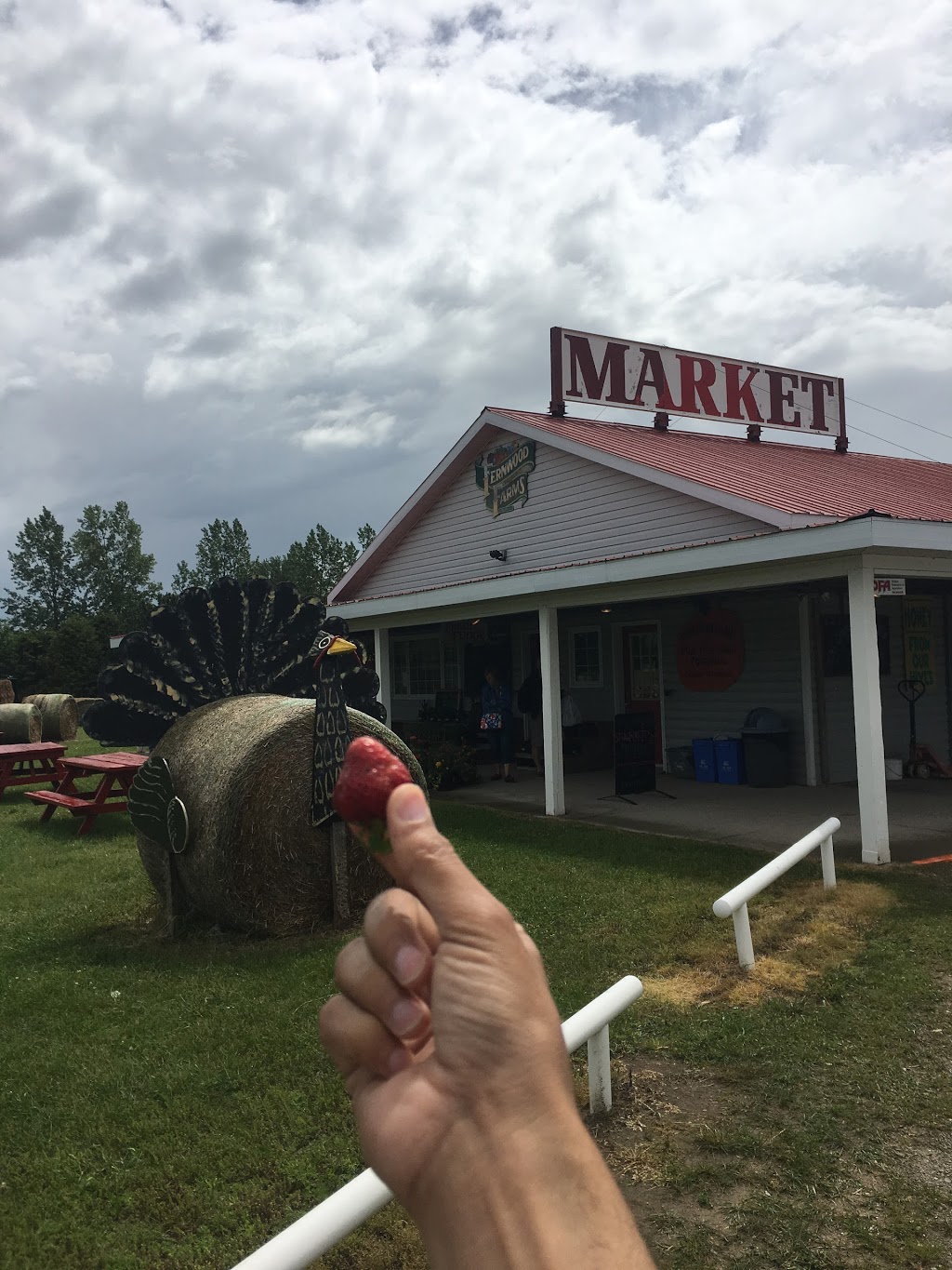 Fernwood Farms & Market | 7865 ON-26, Stayner, ON L0M 1S0, Canada | Phone: (705) 428-3171