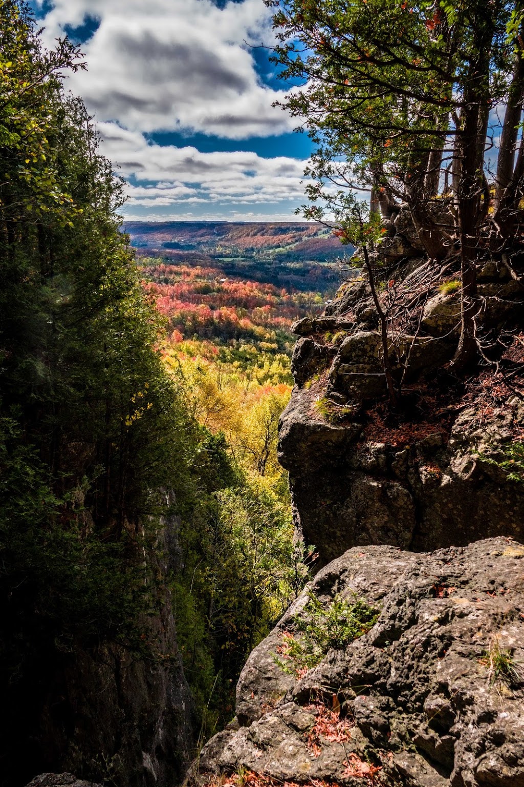 Old Baldy Conservation Area | 120 Old Baldy Access Rd, Kimberley, ON N4K 5N6, Canada | Phone: (519) 376-3076