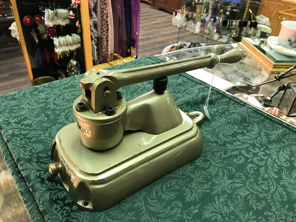 Anything and Everything | 76 Grosvenor Blvd #4, St. Albert, AB T8N 2Y8, Canada | Phone: (780) 569-2933