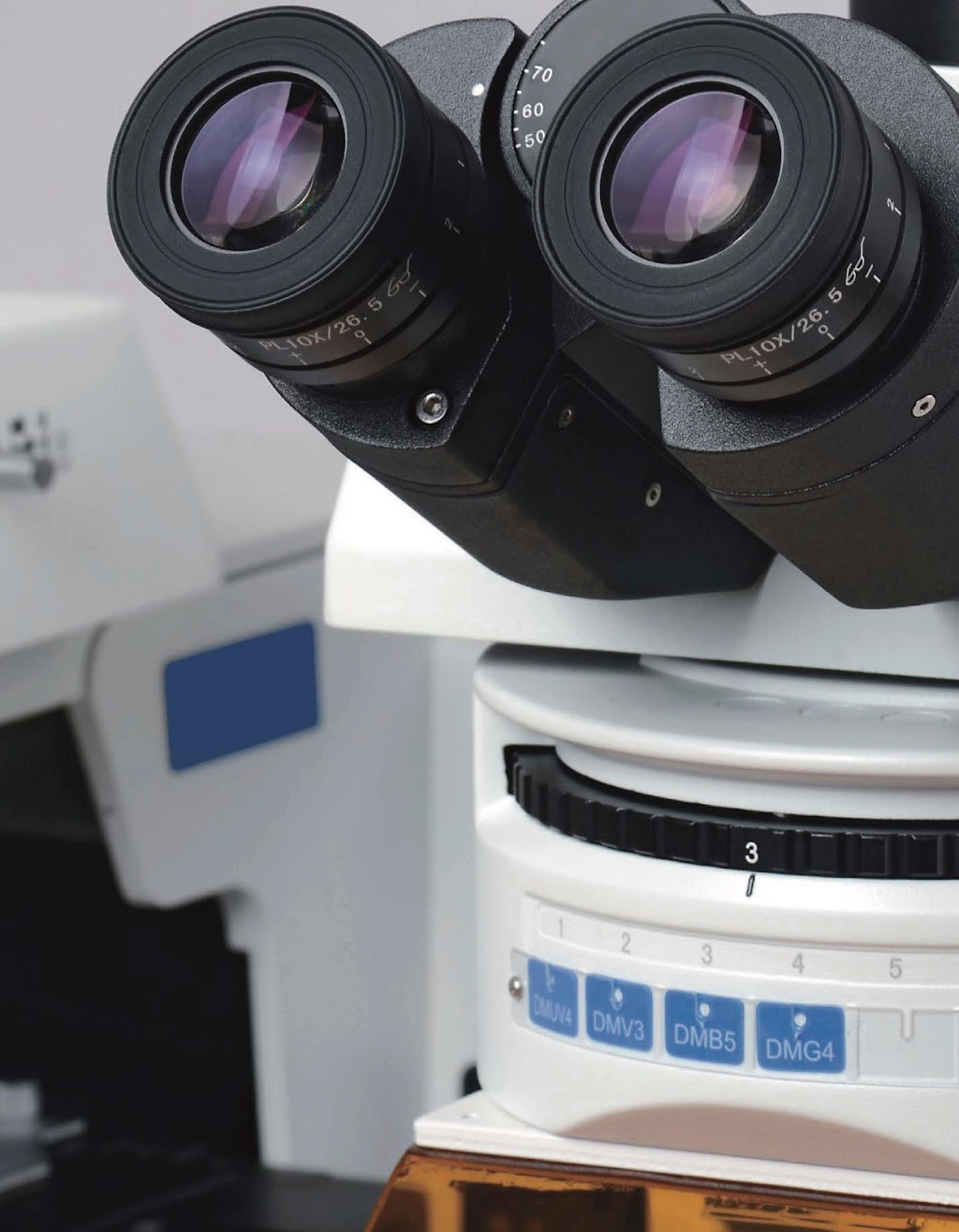 BIOIMAGER Inc. | 123 Pentland Crescent, Maple, ON L6A 1T4, Canada | Phone: (855) 246-4624