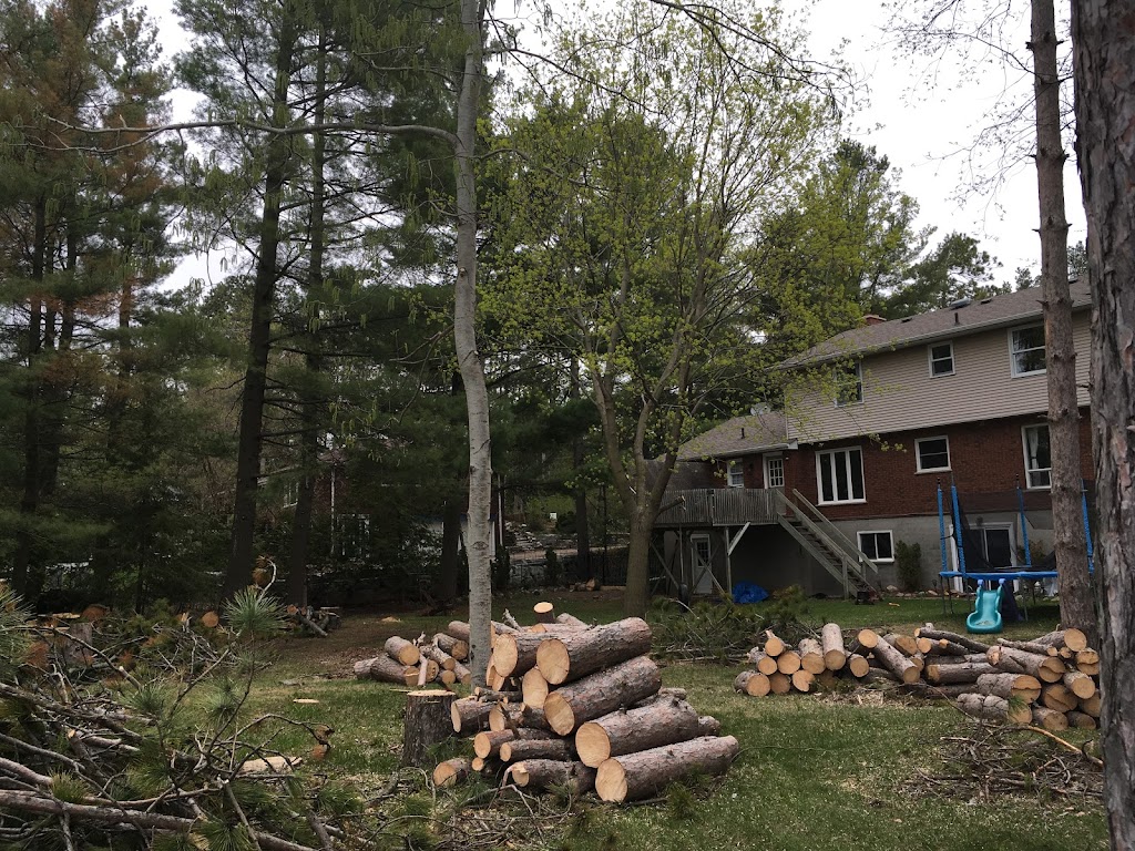 Ultimate Tree Service | 15656 Kennedy Rd, Caledon Village, ON L7C 2H7, Canada | Phone: (905) 757-8733