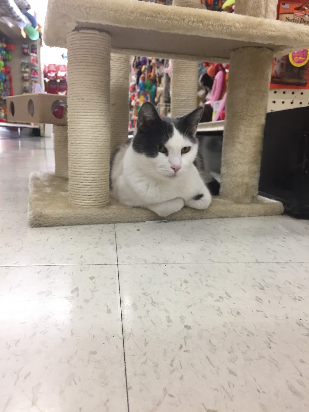 Classic Pet Supply II | 3180 Gratiot Blvd, Marysville, MI 48040, USA | Phone: (810) 364-0200