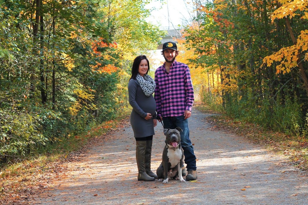 Angel Photography by Robin Lee | Victoria St E, Omemee, ON K0L 2W0, Canada | Phone: (705) 875-4742