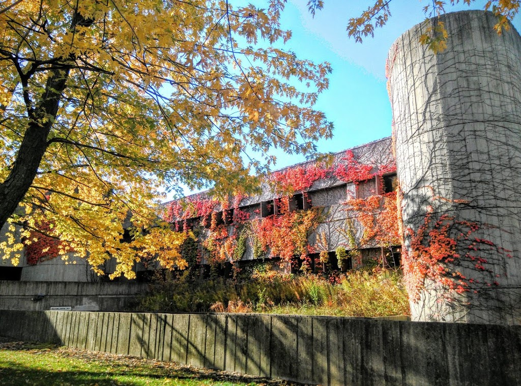 John Buchan Senior Public School | 2450 Birchmount Rd, Scarborough, ON M1T 2M5, Canada | Phone: (416) 396-6385