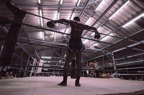 Legacy Boxing Club | 4950 106 Ave SE unit 125, Calgary, AB T2C 2Y6, Canada | Phone: (403) 837-4522