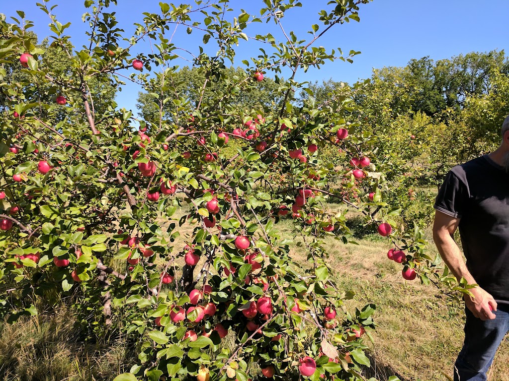 Sprout Farms Apple Orchards | 56307 Lily Lake Rd, Bon Accord, AB T0A 0K0, Canada | Phone: (780) 921-3460