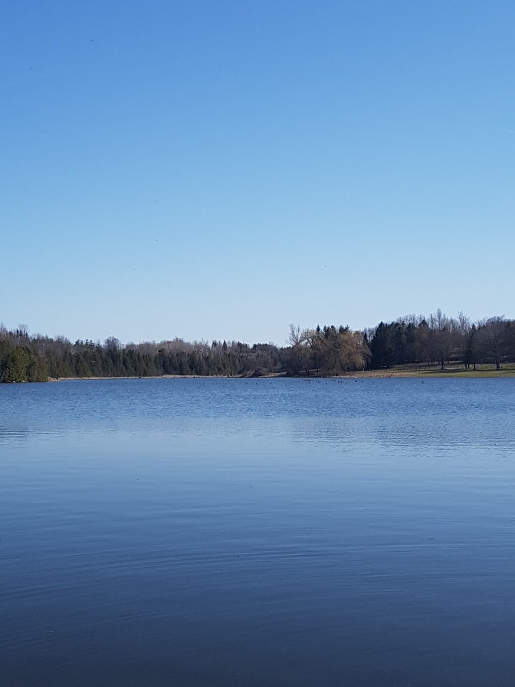 Tottenham Conservation Area | 6787 4th Line, Tottenham, ON L0G 1W0, Canada | Phone: (905) 729-1260