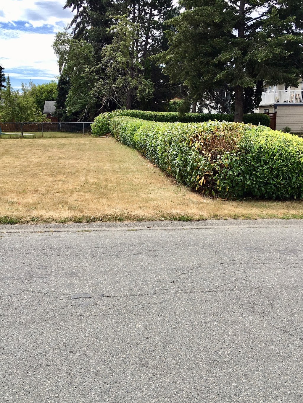 Sandy’s Gardening & Landscaping | 2025 Chaucer St, Victoria, BC V8R 1H6, Canada | Phone: (306) 231-0501