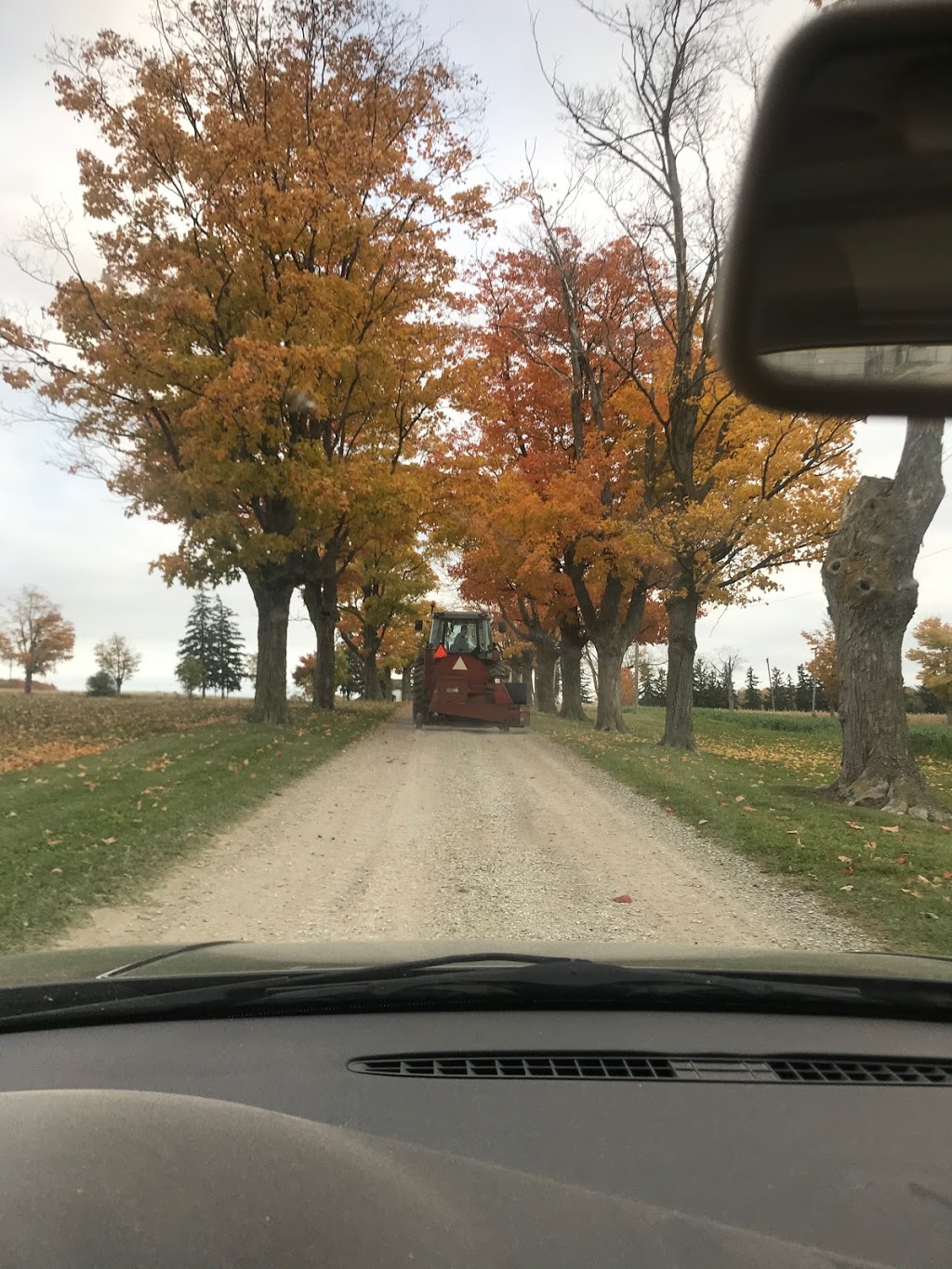 Janstead | 3522 Berletts Rd, Wellesley, ON N0B 2T0, Canada | Phone: (519) 635-9081