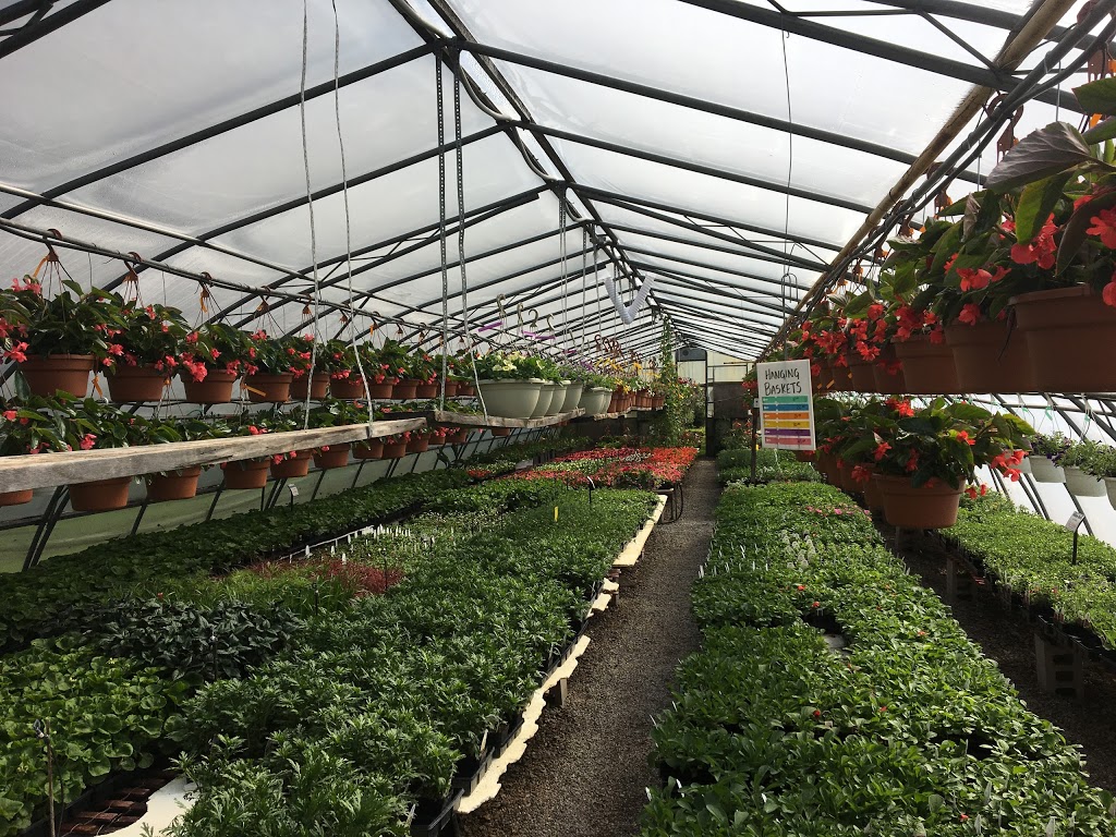 Sebringville Garden Centre | 137 Huron Rd, Stratford, ON N5A 6S6, Canada | Phone: (519) 393-6131