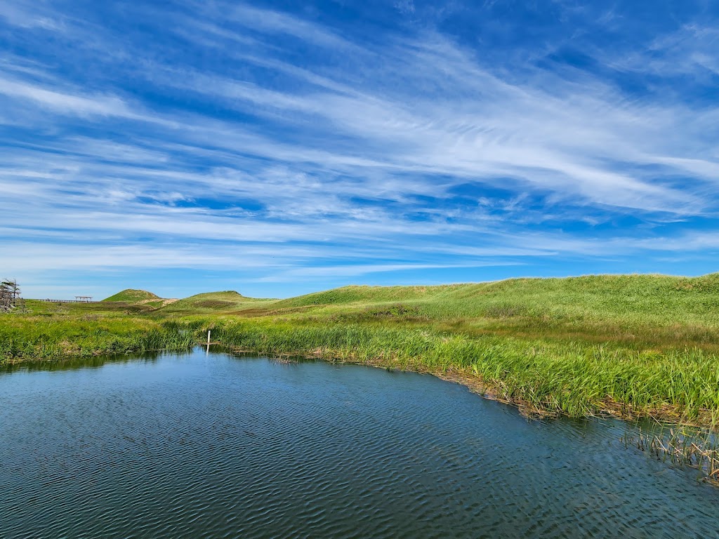 Cavendish Dunelands Trail, Prince Edward Island National Park | 590 Grahams Ln, Cavendish, PE C0A 1Mn, Canada | Phone: (902) 672-6350
