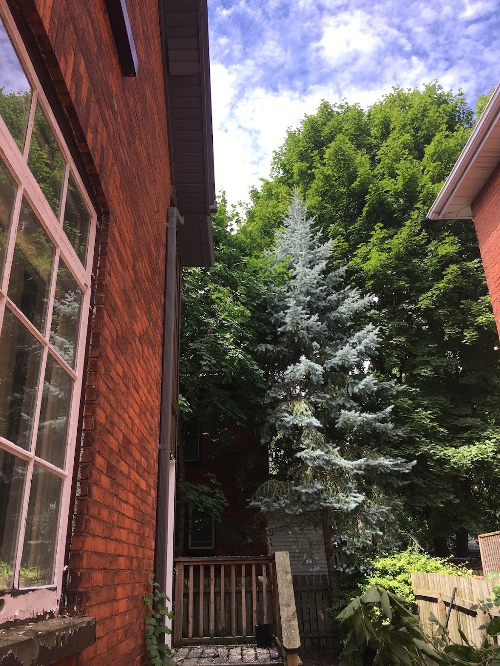 Icon Tree Service | 1659A Line 41, New Hamburg, ON N3A 4A2, Canada | Phone: (519) 778-4788