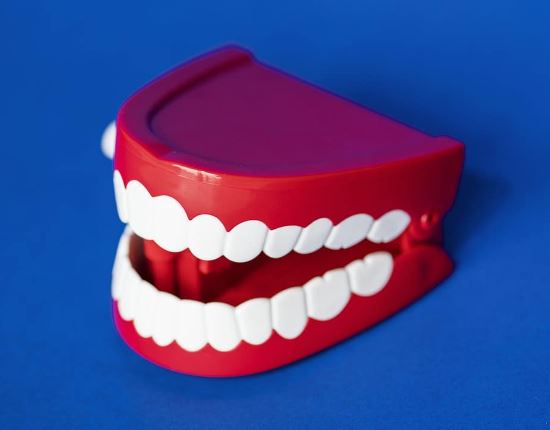 Green Meadows Dental | 320 Eramosa Rd, Guelph, ON N1E 2M8, Canada | Phone: (519) 836-5841
