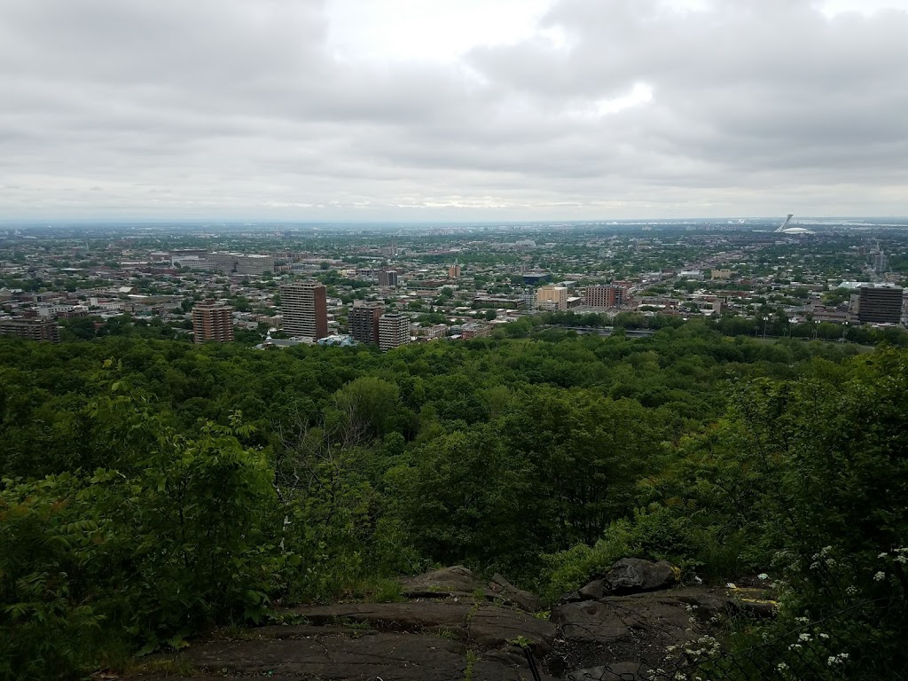 Mount Royal Summit | park | Ville-Marie, Montreal, QC H2W 1S8, Canada