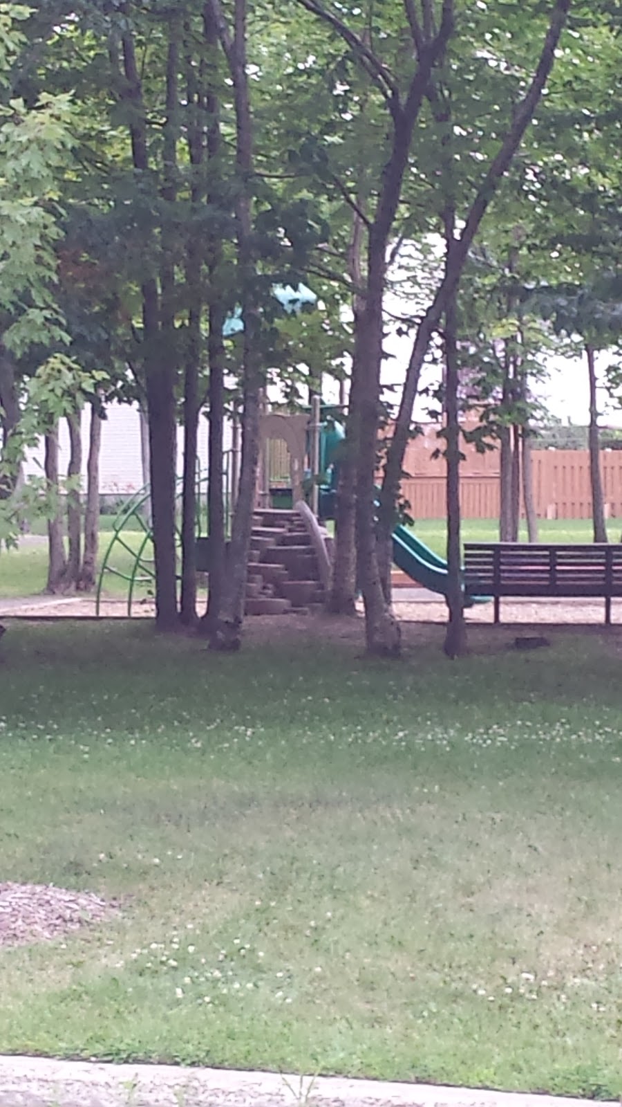 Parc Courteline | Rue Courteline, Québec, QC G3K 2E7, Canada