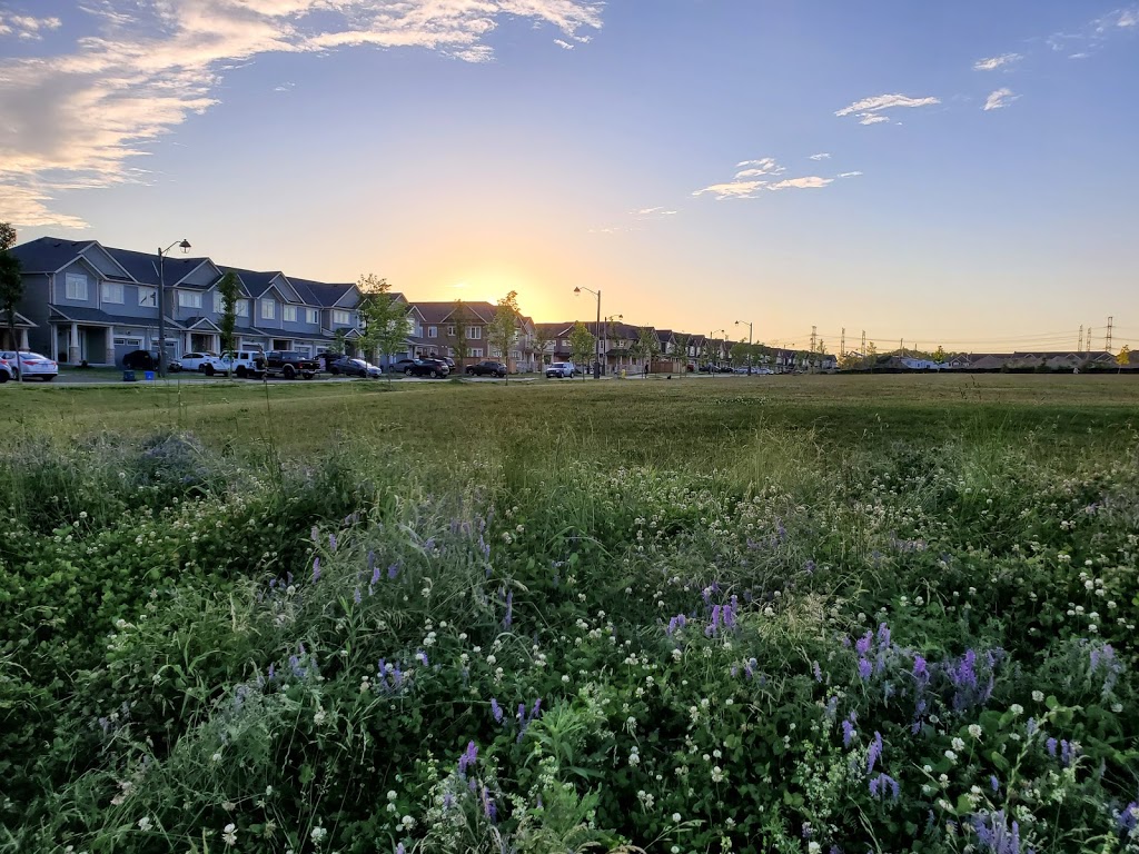 Steeplechase Park | Windfields, Oshawa, ON L1L 0G1, Canada