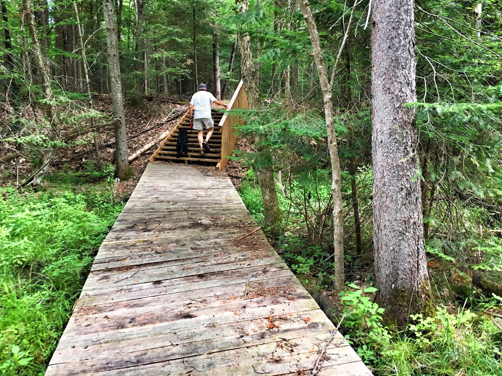Echo Valley Nature & Bike Trails | Echo Hills Rd, Dwight, ON P0A 1H0, Canada | Phone: (877) 566-0005