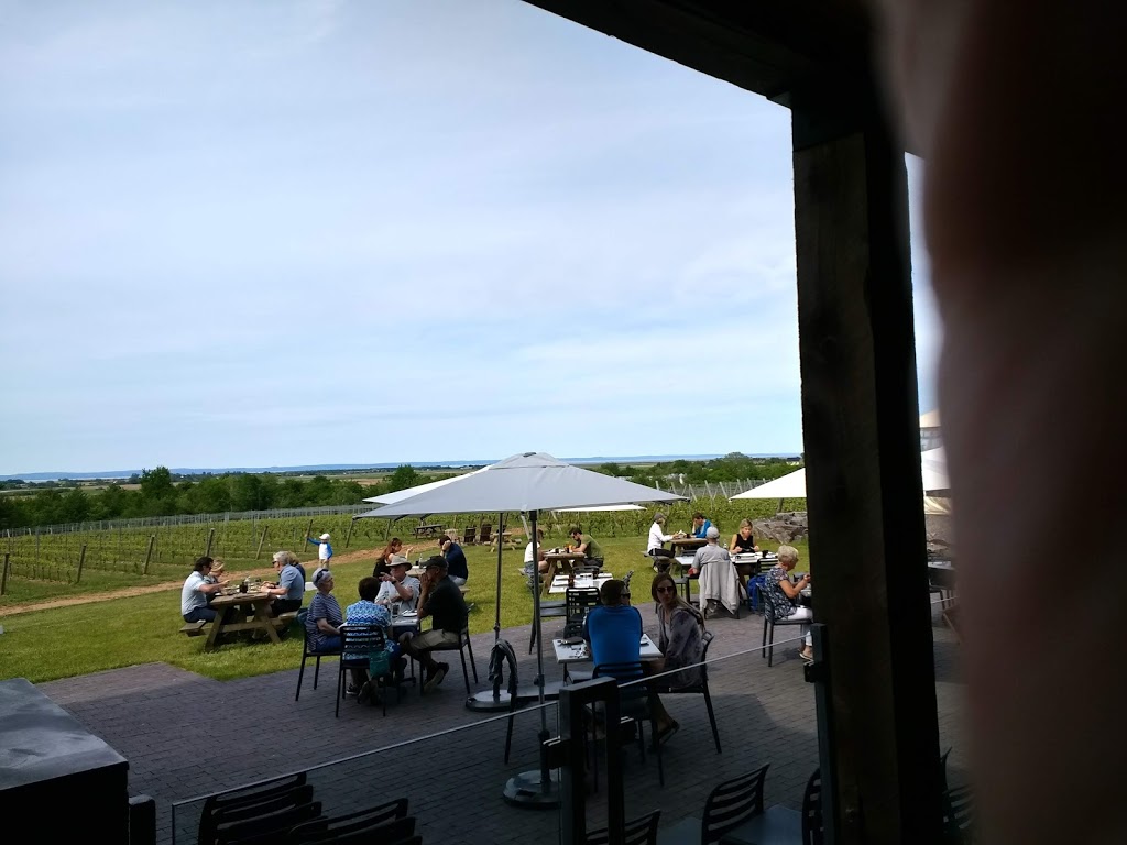 Magic Winery Bus Limited | 11 Willow Ave, Wolfville, NS B4P 1A1, Canada | Phone: (902) 670-0340