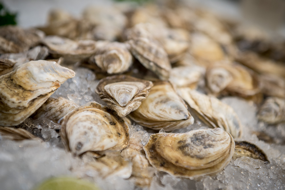 Longueuil Public Market | 4200 Ch de la Savane, Saint-Hubert, QC J3Y, Canada | Phone: (514) 387-8319