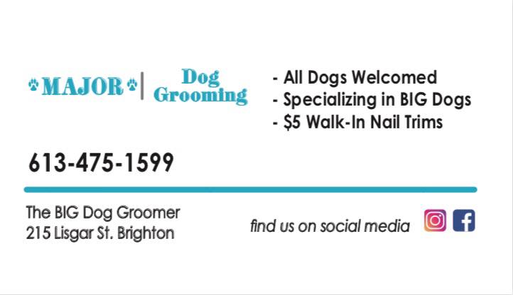 MAJOR Dog Grooming | 215 Lisgar St, Brighton, ON K0K 1H0, Canada | Phone: (613) 475-1599