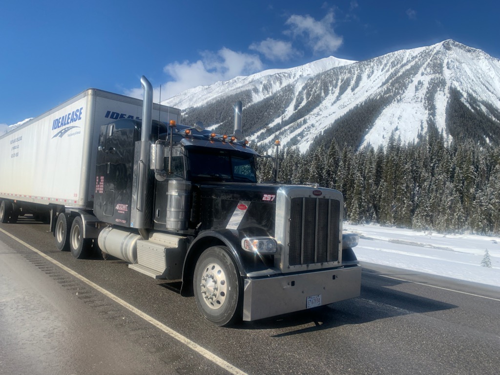 DDWT Holdings Inc | 450234 82 St E, Aldersyde, AB T0L 0A0, Canada | Phone: (403) 771-7537