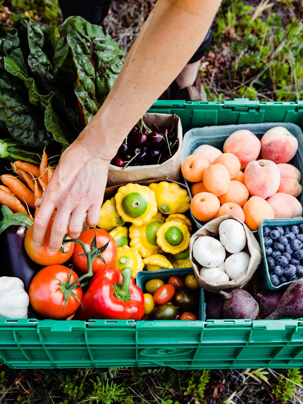 The Organic Box | 5712 59 St NW, Edmonton, AB T6B 3L4, Canada | Phone: (780) 469-1900