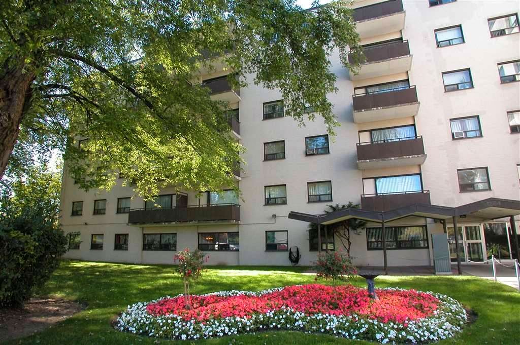 The Woolland | 1284 Danforth Rd, Scarborough, ON M1J 1E9, Canada | Phone: (416) 267-0846