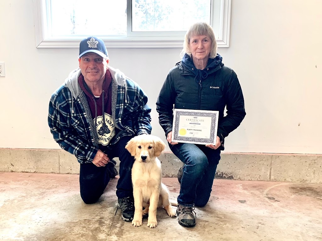 Command Control Dog Training (CCK9) | 21641 Dixie Road, Wainfleet, ON L0S 1V0, Canada | Phone: (877) 687-2259