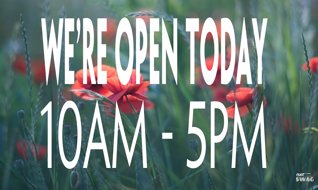 Mint Auto Sales | 450-480 Taunton Rd E, Oshawa, ON L1H 7K4, Canada | Phone: (905) 240-6468