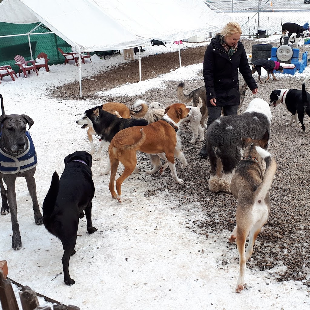 Furry Friends Inc. Doggie Daycare & Spaw | 955 Century Dr, Burlington, ON L7L 5J8, Canada | Phone: (289) 828-1367