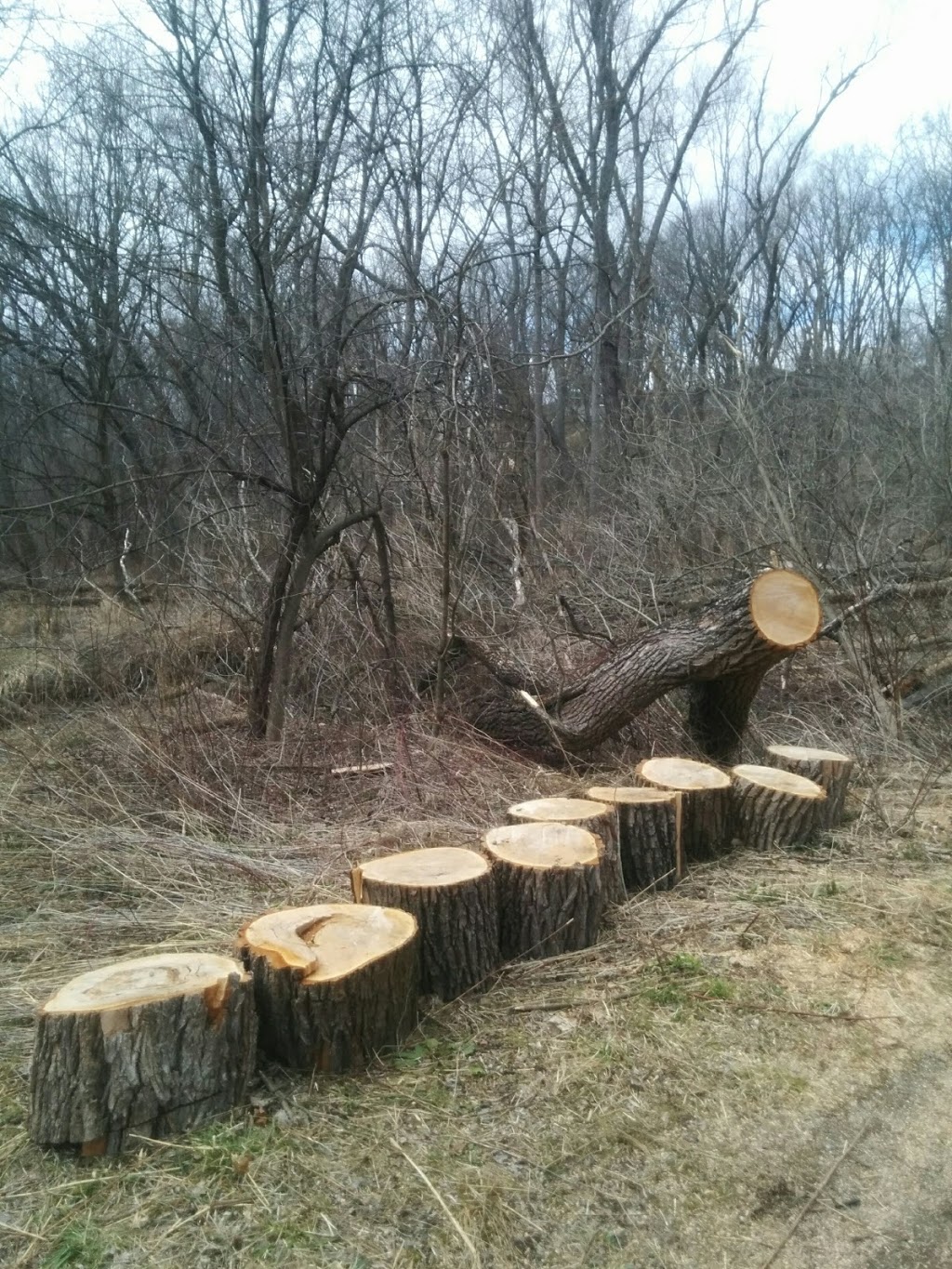 Little John Park | 10 Rogers Rd, Dundas, ON L9H 4E4, Canada | Phone: (289) 887-2174