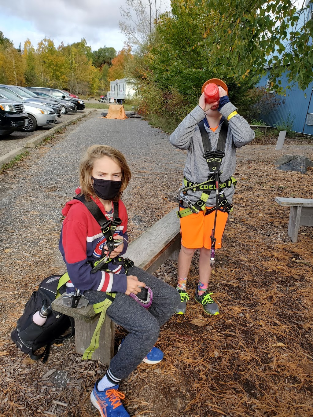 Treetop Trekking Huntsville | 1180 ON-60, Huntsville, ON P1H 1A9, Canada | Phone: (855) 788-9009