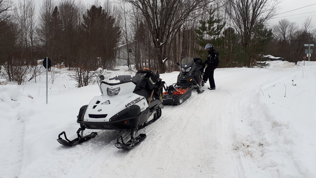 The Catch | 3764 County 507 Rd, Gooderham, ON K0M 1R0, Canada | Phone: (705) 313-9947