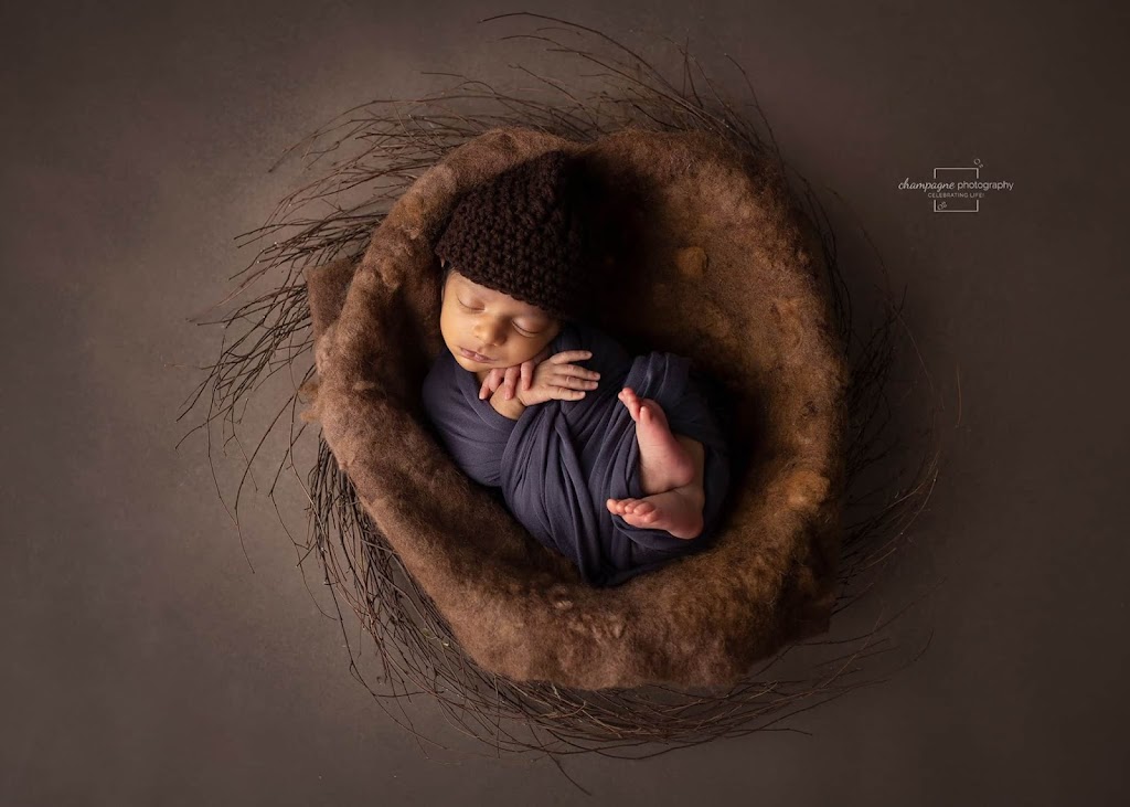Champagne Photography Studio Inc. | Woodville, ON K0M 2T0, Canada | Phone: (416) 704-7653