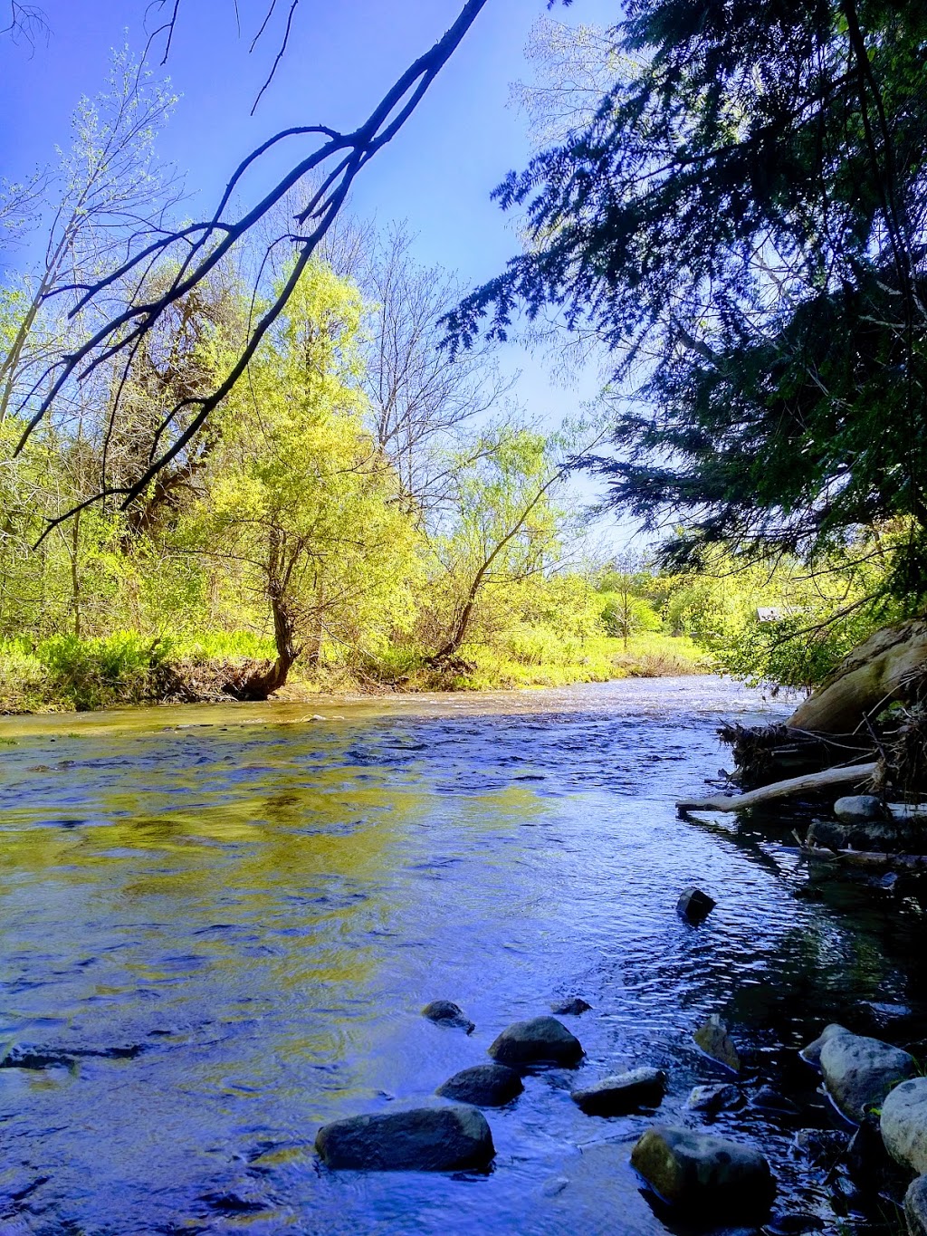 Boyd Conservation Park | 8739 Islington Ave, Woodbridge, ON L4L 1A6, Canada | Phone: (416) 661-6600